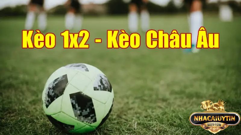 Kèo châu Âu là gì? Bí quyết soi kèo và cách đọc hiệu quả Kèo châu Âu là gì? Bí quyết soi kèo và cách đọc hiệu quả
